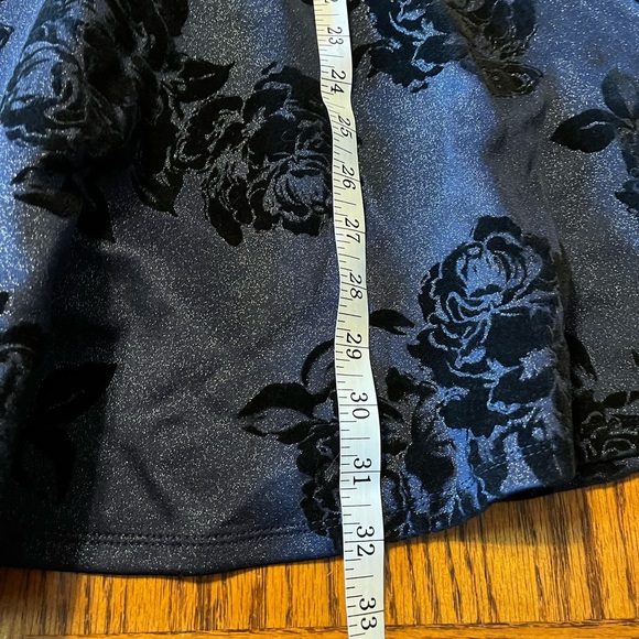Francesca’s Mi Ami small dress fit n flare roses blue‎ black burnout velvet - Picture 10 of 11
